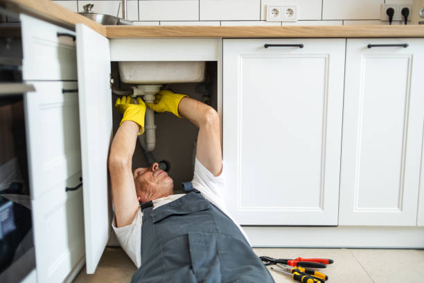 Best Garbage Disposal Repair and Installation  in Harris Hill, NY